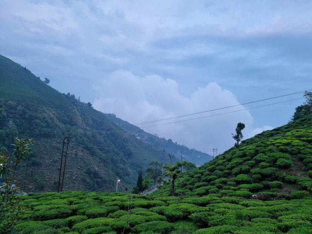 Himachal Pradesh: A Solo Traveler's Paradise